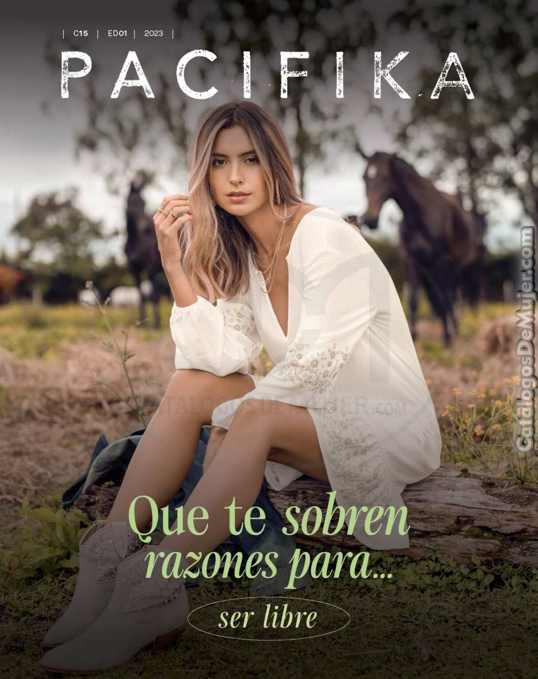 Catálogo Pacifika Campaña 15 Colombia 2023