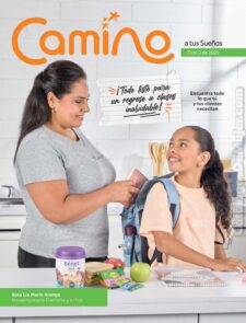 Camino a tus sueños Ciclo 2 2025