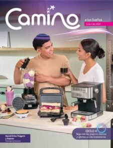 Camino a tus sueños Ciclo 4 2025