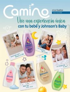 Camino a tus sueños Ciclo 5 2025