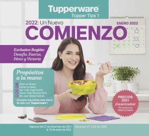 Catálogo Tupperware Tips 1 2022 Sur México