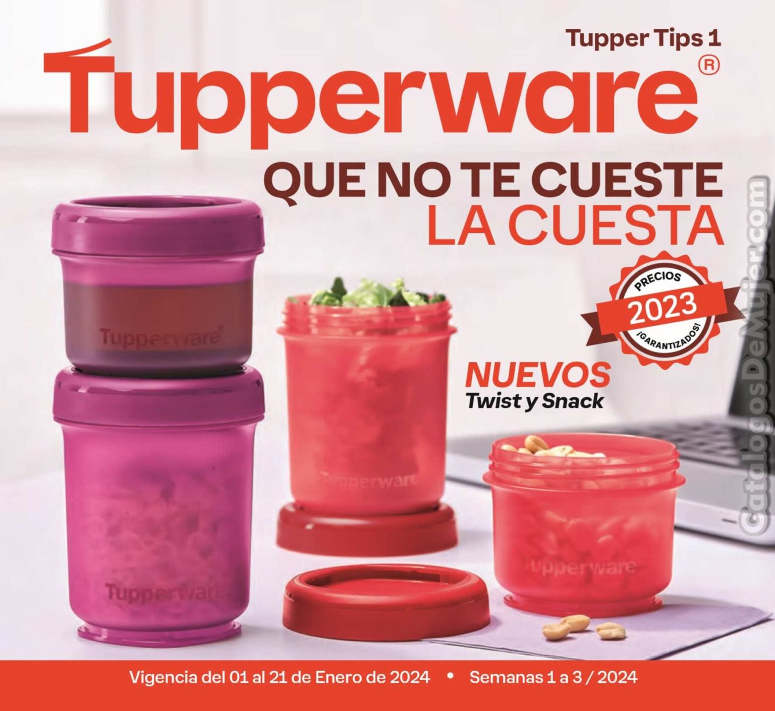 ᐈ Catalogo Tupperware Tupper Tips 2 2024 México