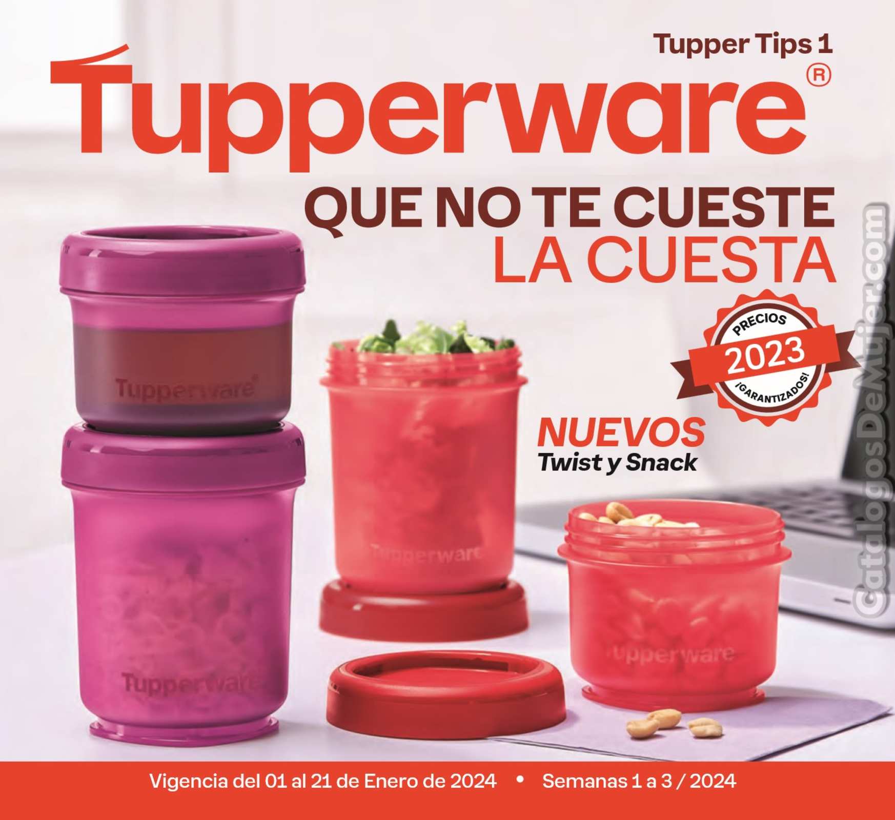 Catálogo Tupperware Tupper Tips 1 2024 México