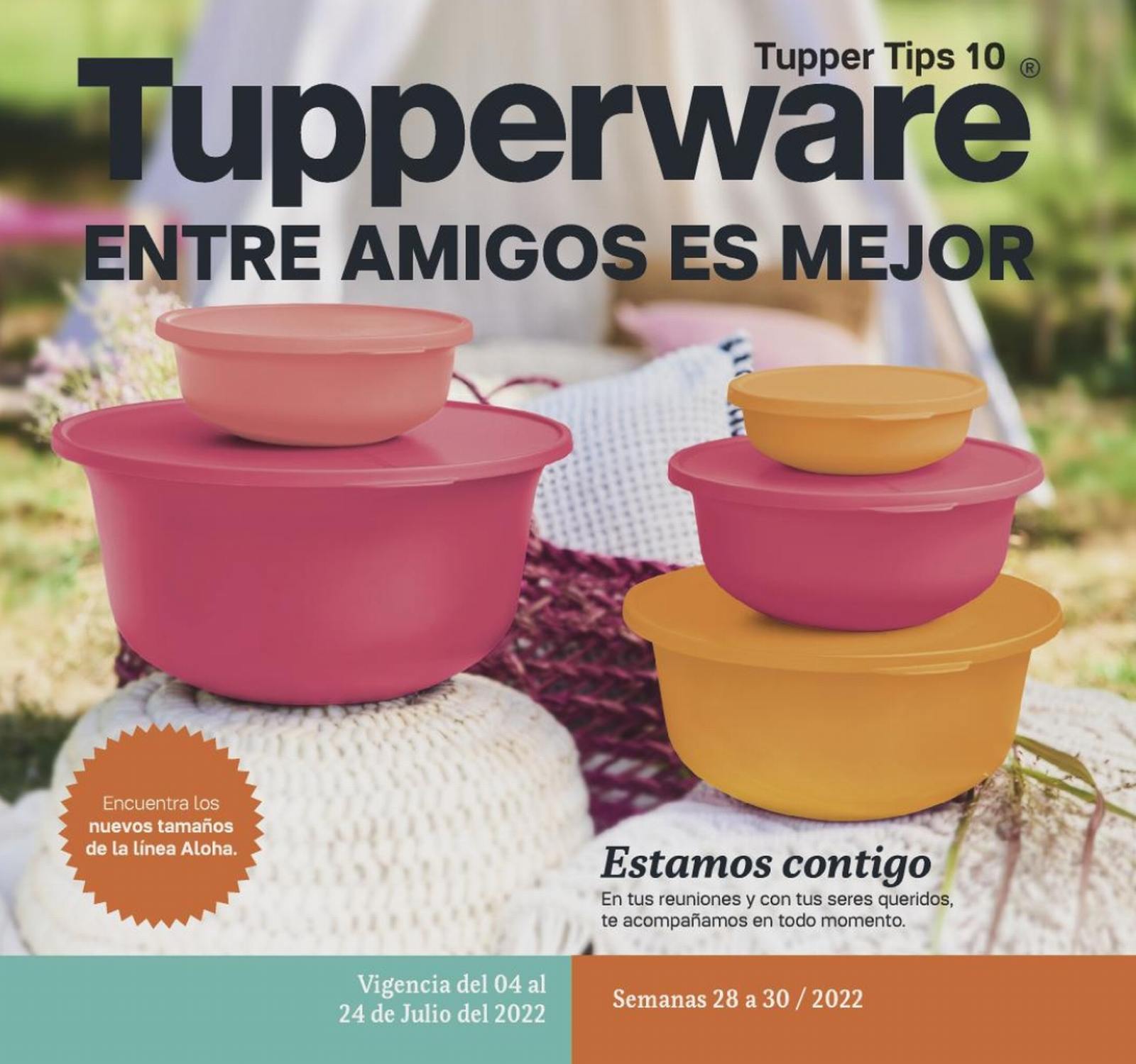 Catálogo Tupperware Tips 10 2022 México