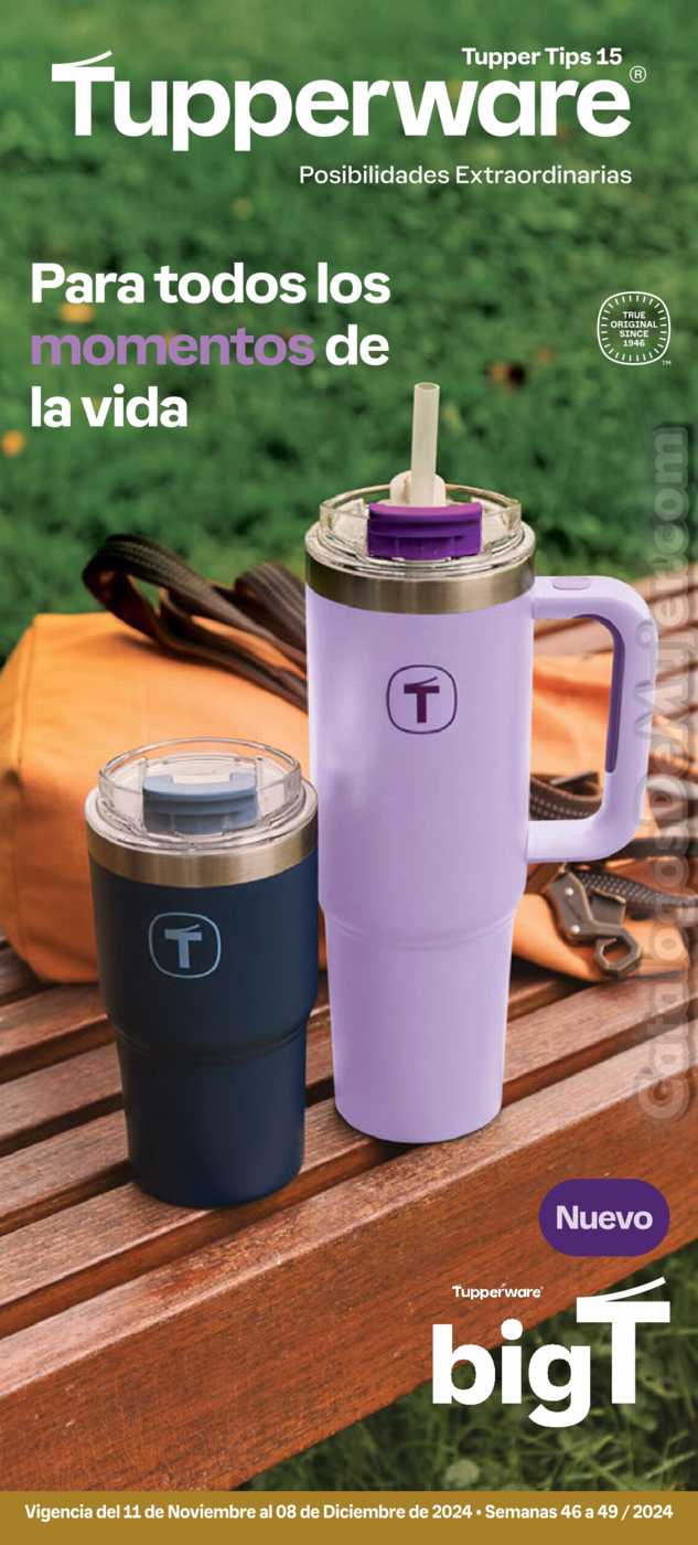 Catálogo Tupperware Tips 15 2024 México