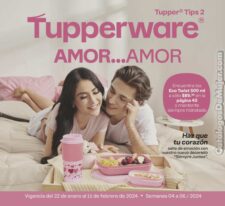Catálogo Tupperware Tips 2 2024 México