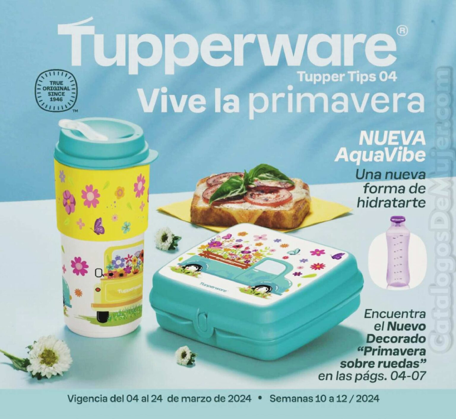 ᐈ Catalogo Tupperware Tupper Tips 4 2024 México