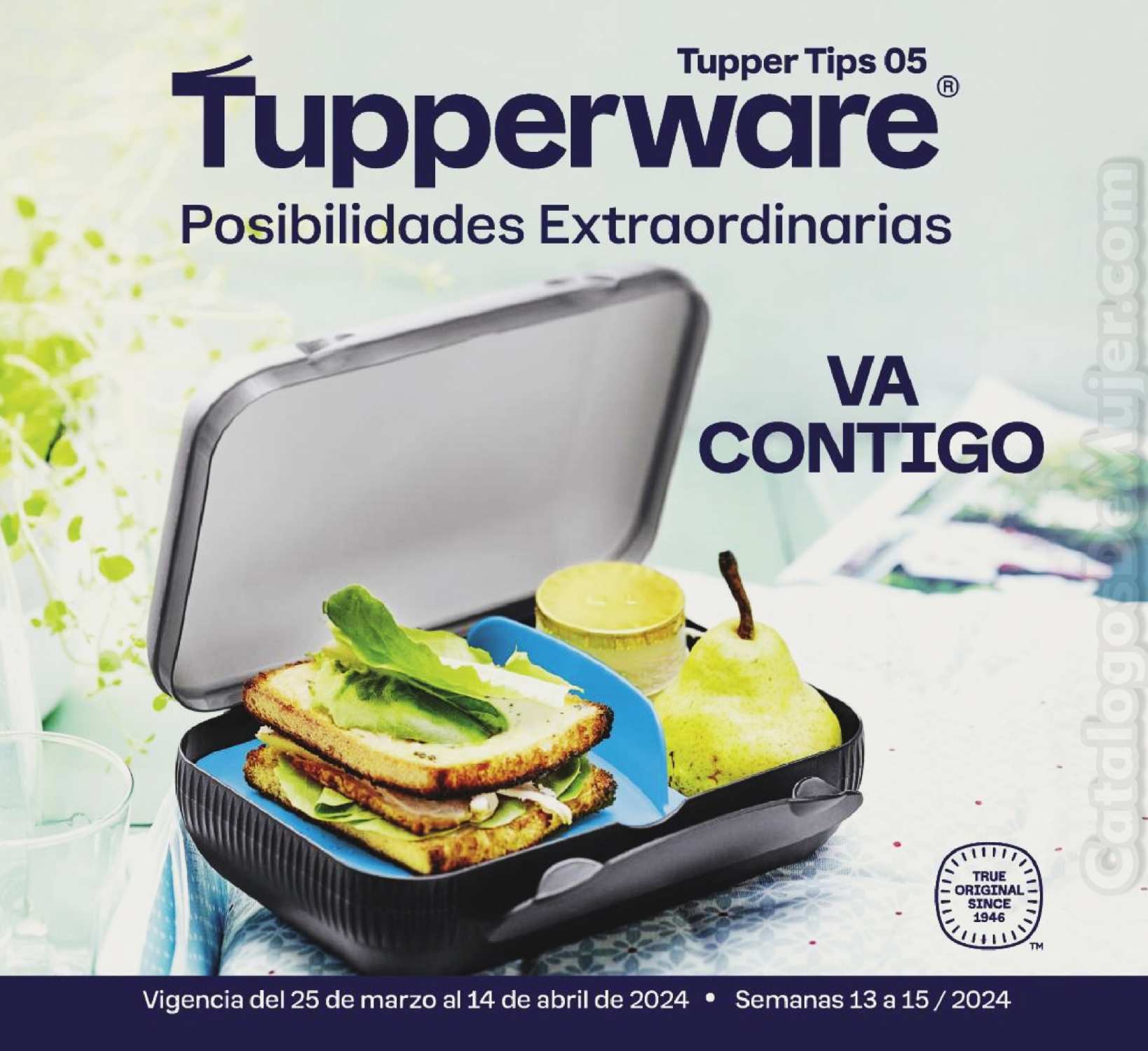 ᐈ Catalogo Tupperware Tupper Tips 5 2024 México
