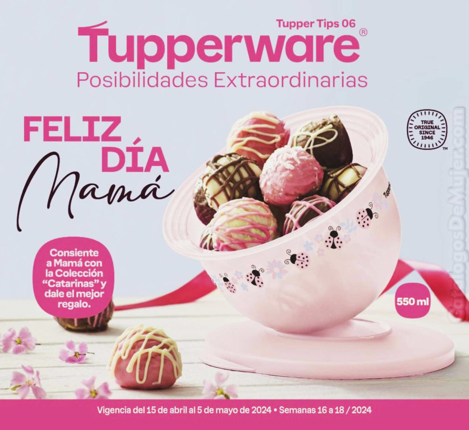 ᐈ Catalogo Tupperware Tupper Tips 6 2024 México