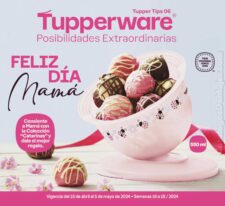 Catálogo Tupperware Tips 6 2024 México