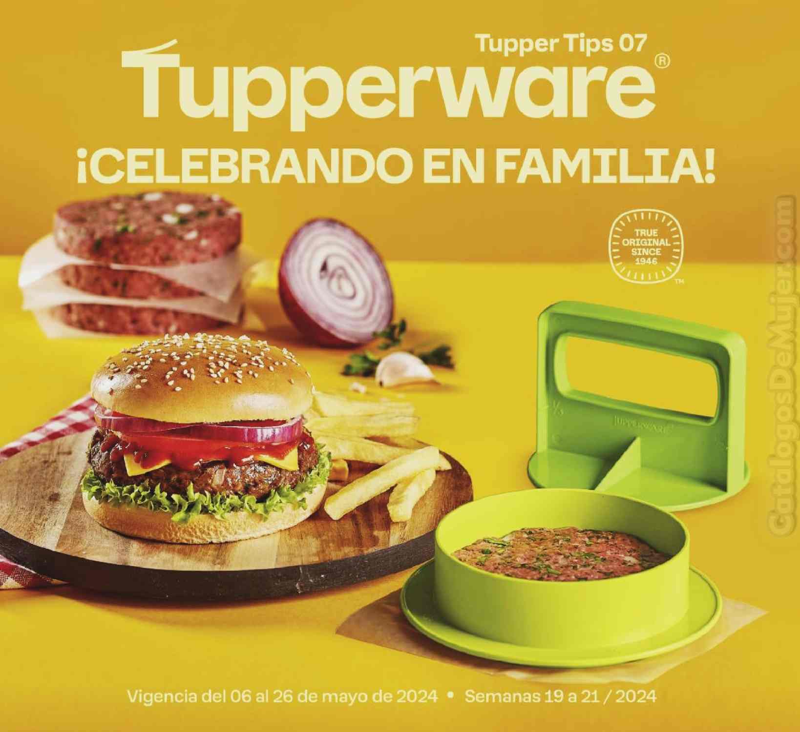 ᐈ Catalogo Tupperware Tupper Tips 7 2024 México