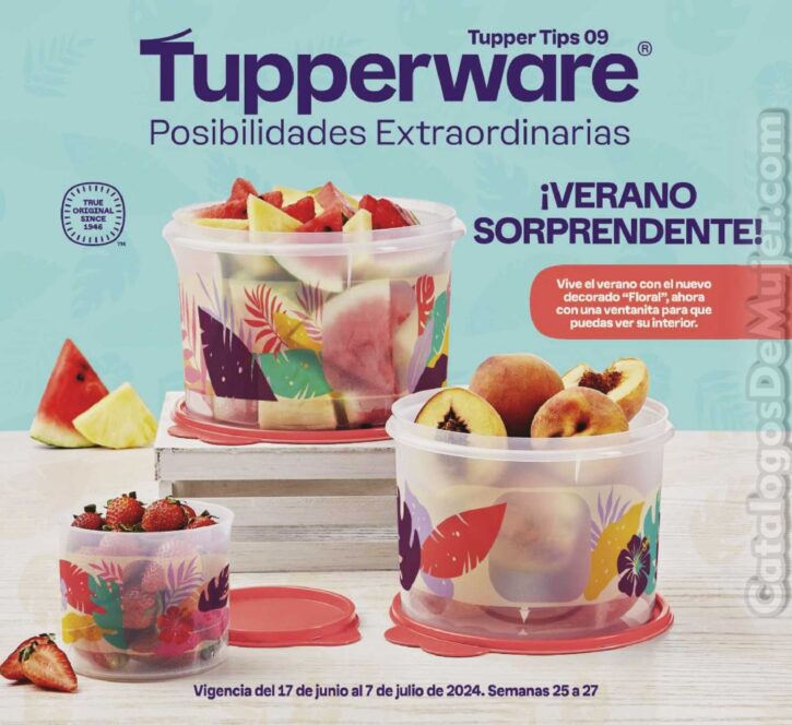 ᐈ Catalogo Tupperware Tupper Tips 9 2024 México