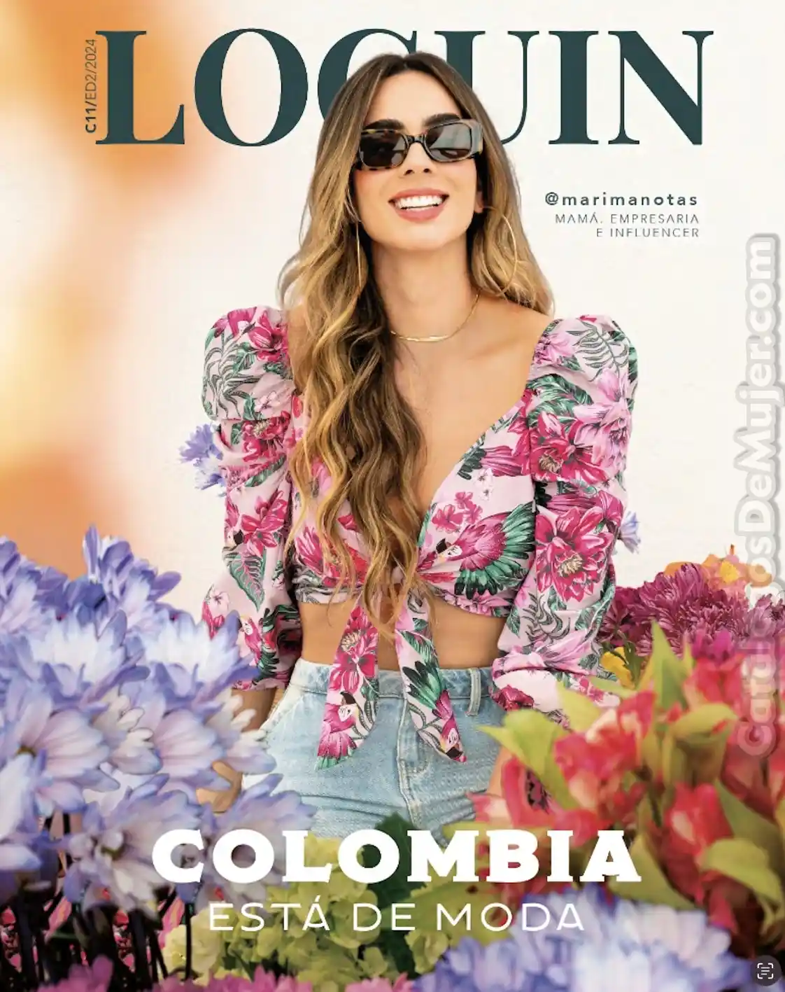 Loguin Campaña 11 2024 Colombia