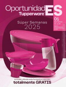 Oportunidades Tupperware Tips 1 2025 México