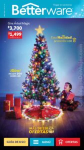Catalogo Betterware 11 2024 México