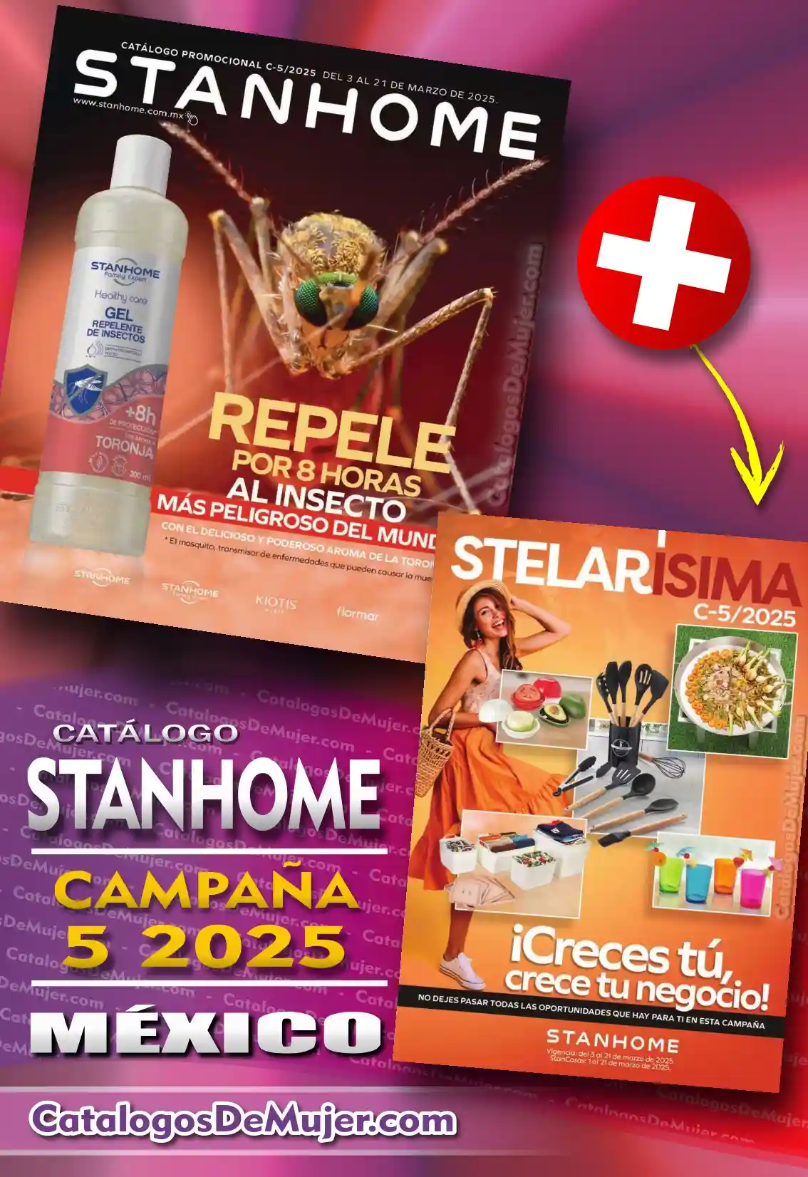 stanhome campaña 5 2025