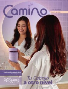 Camino a tus sueños Ciclo 11 2025