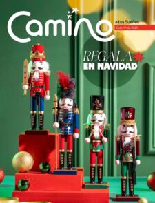 Camino a tus sueños Ciclo 17 2025