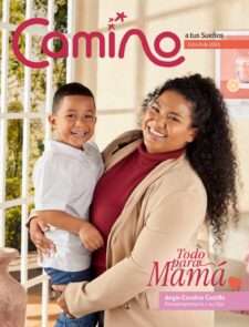 Camino a tus sueños Ciclo 6 2026