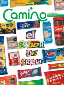 Camino a tus sueños Ciclo 9 2026