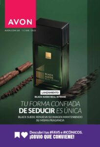 Catálogo Avon Cosmética Campaña 14 B 2025 Argentina
