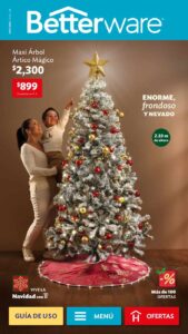 Catalogo Betterware 11 2025 México
