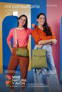 Mi Consultoría Ciclo 2 Perú 2026