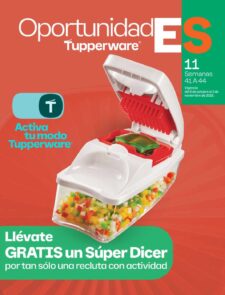 Oportunidades Tupperware Tips 11 2025 México
