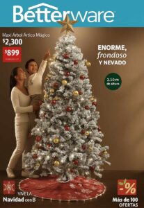 Catalogo Betterware 11 2025 México