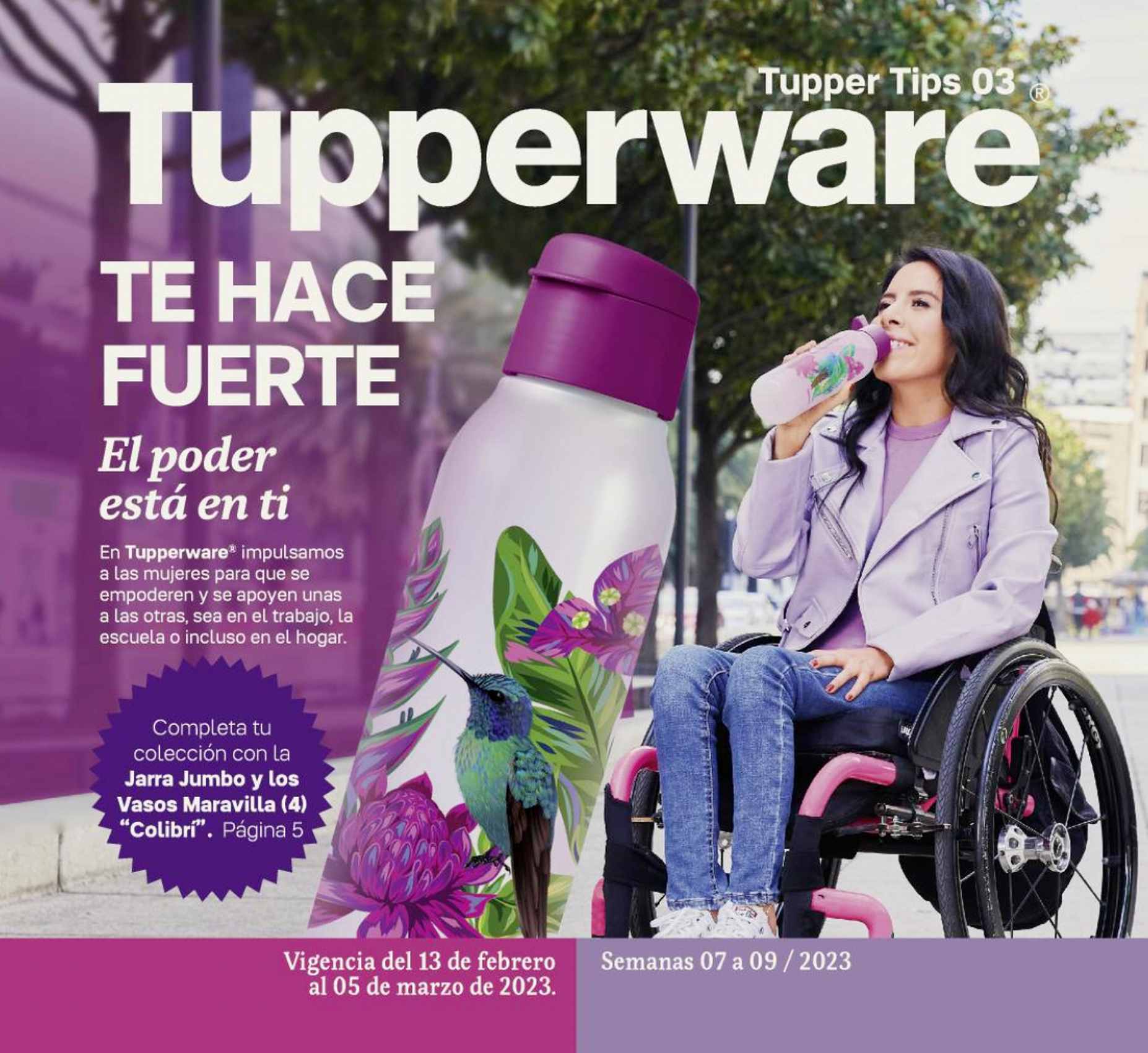 Catálogo Tupperware Tips 3 2023 México