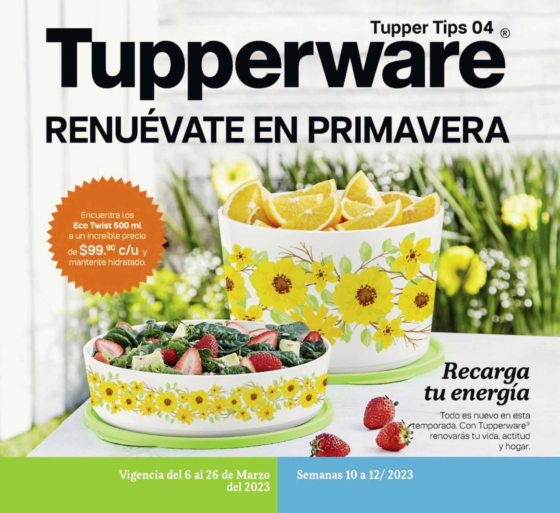 Catálogo Tupperware Tips 4 2023 México