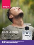 Catálogo Avon Campaña 13 2025 Perú Catálogo Avon Campaña 13 2025 Perú